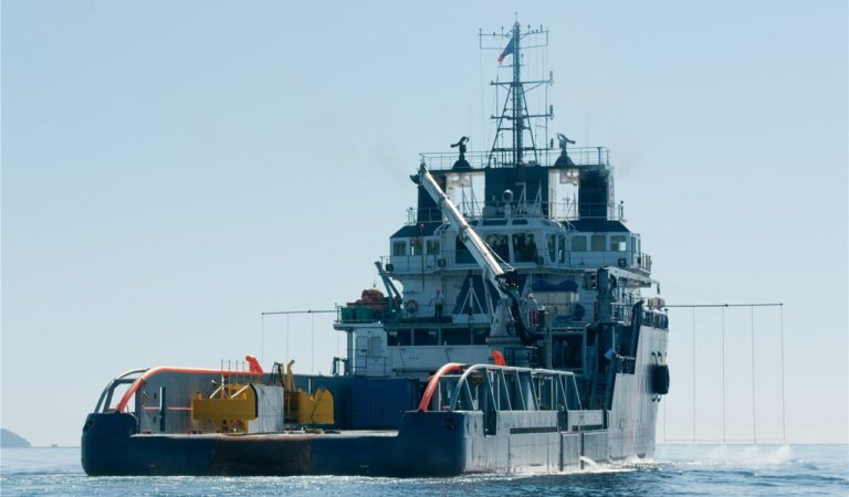 Impianti portuali di raccolta per il conferimento dei rifiuti delle navi: disposizioni integrative del Parlamento europeo e del CdM