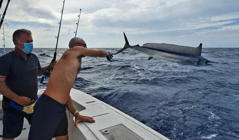 “La pesca in Italia – Nuove Professioni”, convegno all’Istituto Italiano di Navigazione