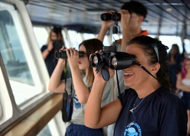 Per il diciottesimo anno consecutivo, Corsica Sardinia Ferries partecipa al progetto di monitoraggio e salvaguardia del Santuario Pelagos di Fondazione CIMA